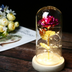 Beauty And The Beast Rose Rose In LED Glass
